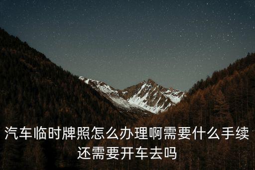 汽車臨時(shí)牌照怎么辦理啊需要什么手續(xù)還需要開(kāi)車去嗎