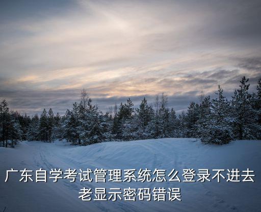 廣東自學考試管理系統怎么登錄不進去老顯示密碼錯誤