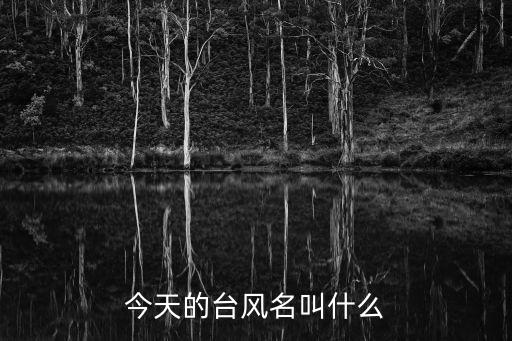 今天的臺(tái)風(fēng)名叫什么