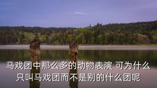 馬戲團動物表演，馬戲團的動物能表演各種節(jié)目這種本領(lǐng)是如何形成的