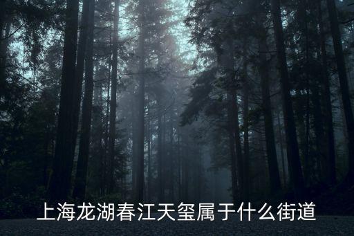 上海龍湖春江天璽屬于什么街道