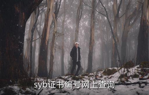 syb證書編號網上查詢