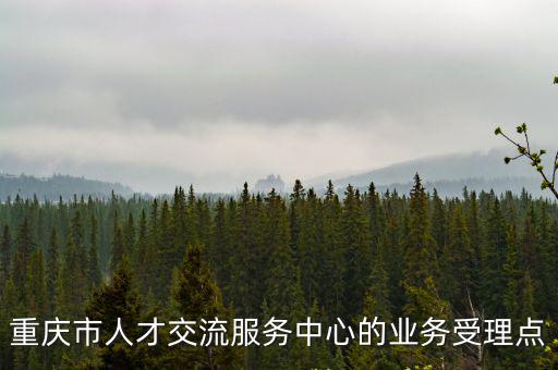 重慶市人才交流服務中心的業務受理點