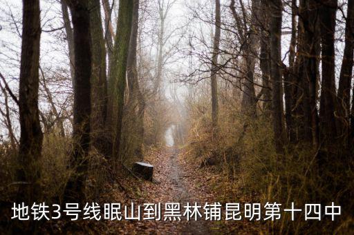地鐵3號線眠山到黑林鋪昆明第十四中