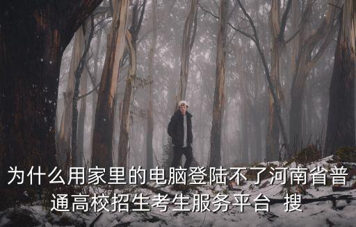 為什么用家里的電腦登陸不了河南省普通高校招生考生服務平臺  搜