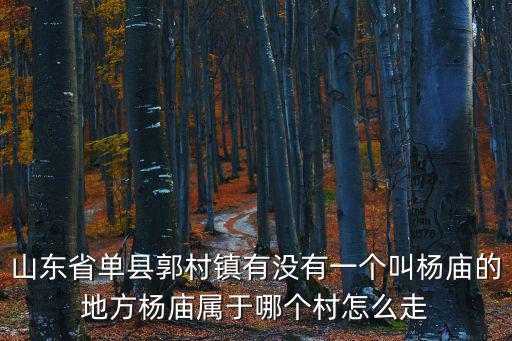 山東省單縣郭村鎮有沒有一個叫楊廟的地方楊廟屬于哪個村怎么走