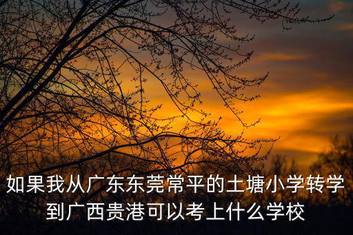如果我從廣東東莞常平的土塘小學轉學到廣西貴港可以考上什么學校