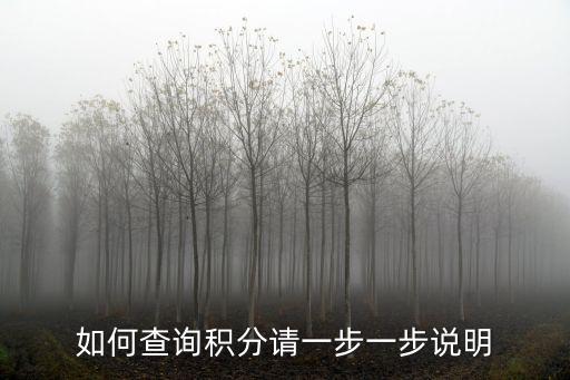 如何查詢積分請一步一步說明