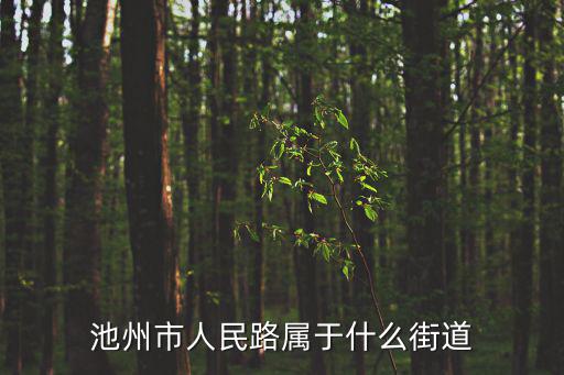池州市人民路屬于什么街道