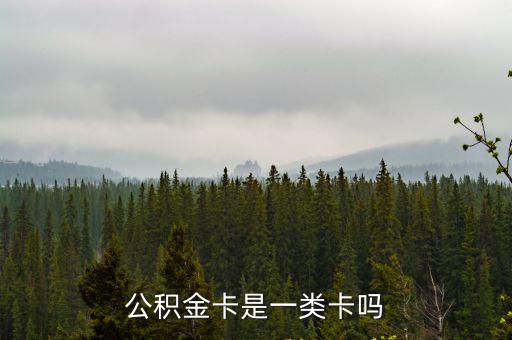 公積金卡是一類卡嗎