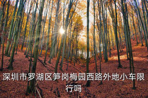 深圳市羅湖區筍崗梅園西路外地小車限行嗎