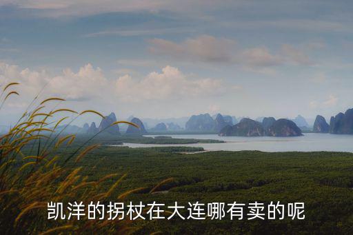 凱洋的拐杖在大連哪有賣的呢