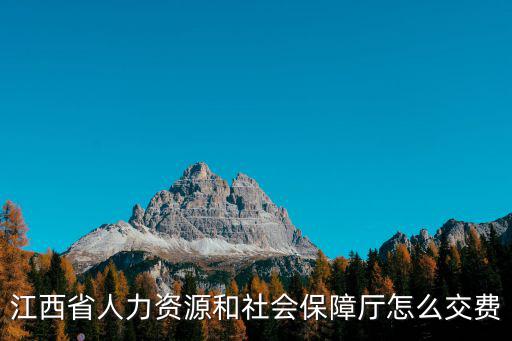 江西省人力資源和社會保障廳怎么交費