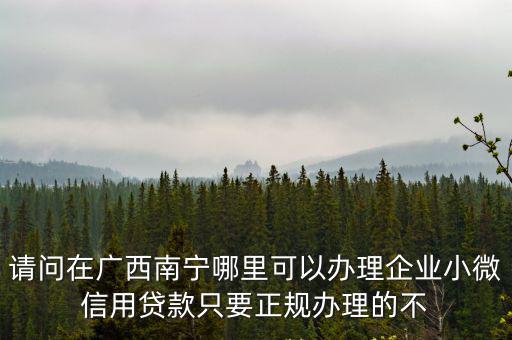 廣西貸款，關(guān)于廣西生源地貸款