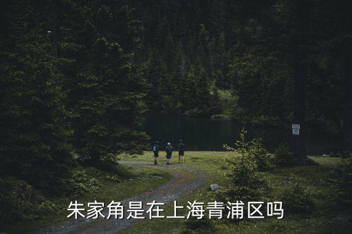 青浦朱家角，青浦朱家角鎮怎樣