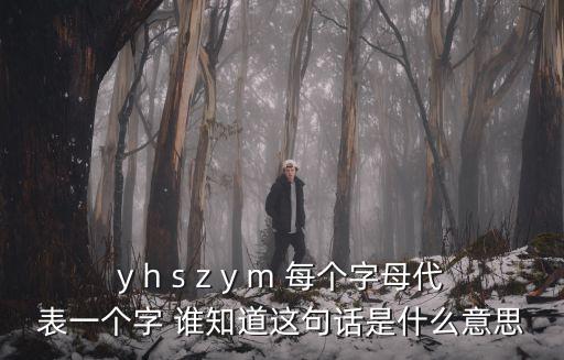 銀河山莊，y h s z y m 每個字母代表一個字 誰知道這句話是什么意思