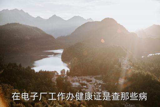 在電子廠工作辦健康證是查那些病