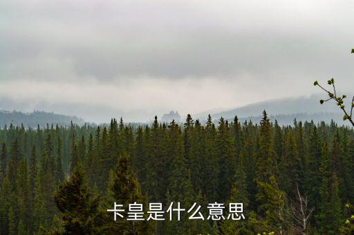 卡黃是什么意思，YY里面的互卡黃是什么意思