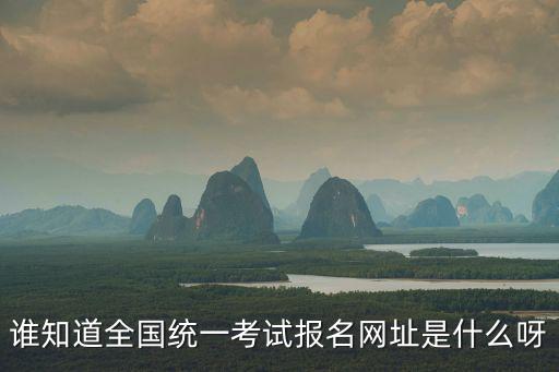 統考網站，誰知道全國統一考試報名網址是什么呀