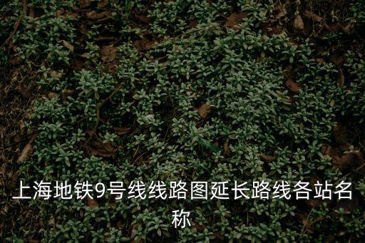 上海地鐵9號線線路圖延長路線各站名稱