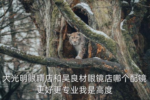 大光明眼睛店和吳良材眼鏡店哪個配鏡更好更專業我是高度