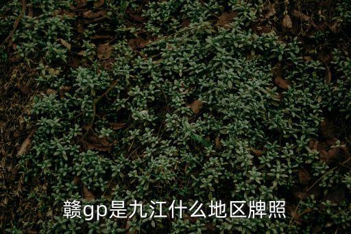 九江車牌，江西九江車牌號為22999前面為是什么