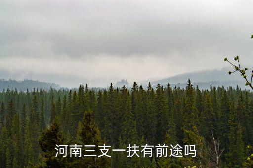 河南三支一扶吧，有誰考過河南的三支一扶麻煩問一下需要看什么資料買什么書好考