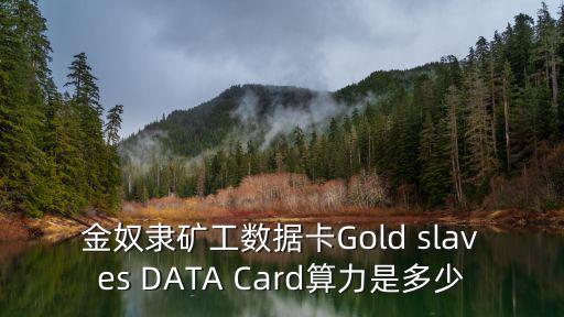 金奴隸礦工數據卡Gold slaves DATA Card算力是多少