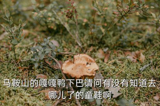 馬鞍山的嘎嘎鴨下巴請問有沒有知道去哪兒了的童鞋啊