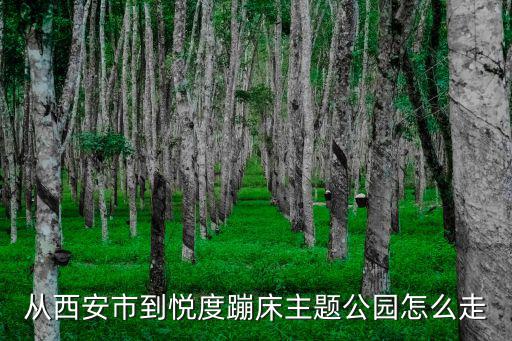 從西安市到悅度蹦床主題公園怎么走