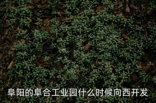 阜合產業園，想知道 阜陽市阜合新城在哪