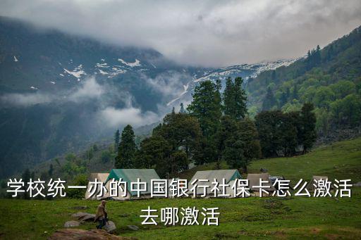 社保卡去哪里激活，社會保障卡哪里激活