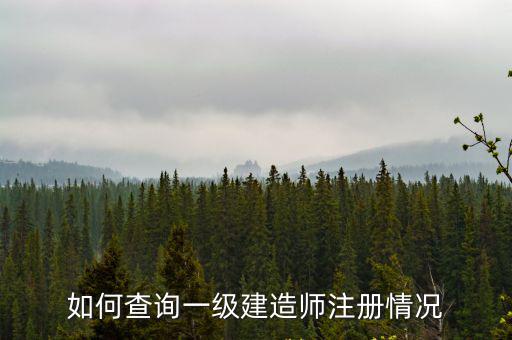 如何查詢一級建造師注冊情況