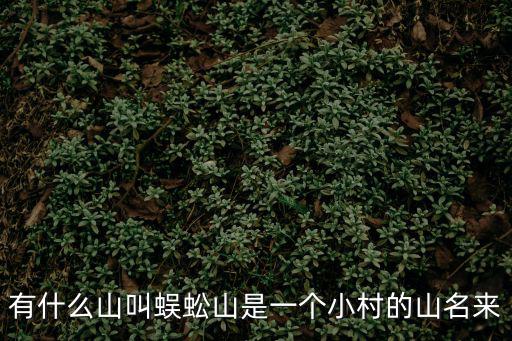 有什么山叫蜈蚣山是一個小村的山名來