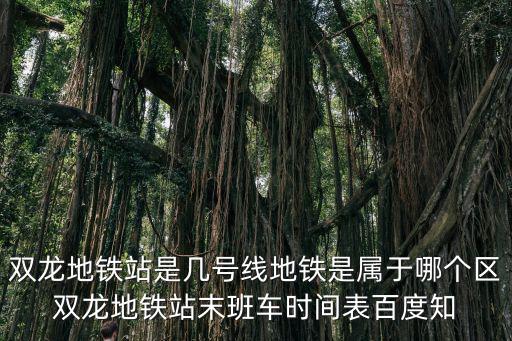 雙龍地鐵站是幾號線地鐵是屬于哪個區(qū)雙龍地鐵站末班車時間表百度知