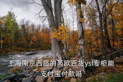 上海芮歐百貨，上海南京西路的芮歐百貨ysl專柜能支付寶付款嗎