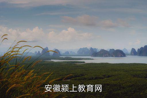 安徽潁上教育網