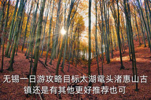 無錫一日游攻略目標太湖黿頭渚惠山古鎮還是有其他更好推薦也可