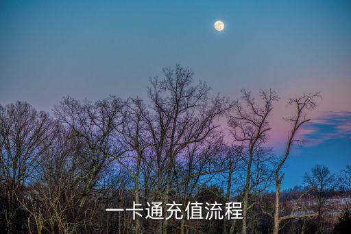 一卡通充值流程