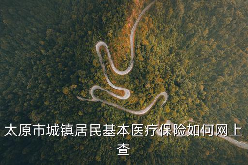 太原市城鎮居民基本醫療保險如何網上查