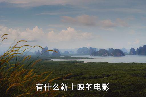 有什么新上映的電影