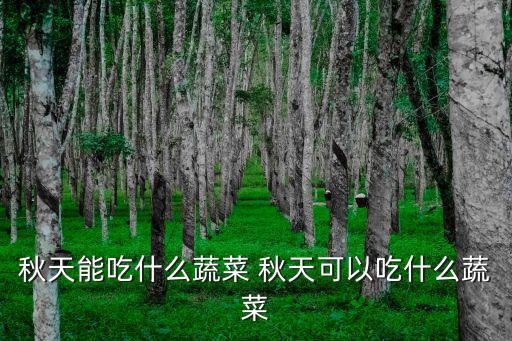 秋天吃什么菜最好，什么菜適合秋季吃