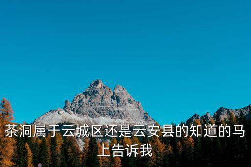茶洞屬于云城區還是云安縣的知道的馬上告訴我