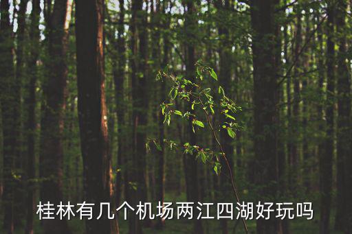 桂林有幾個(gè)機(jī)場(chǎng)兩江四湖好玩嗎