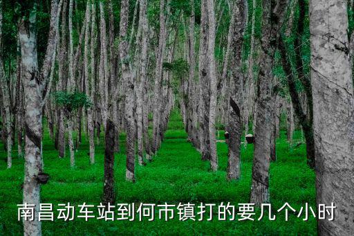 南昌動車站到何市鎮打的要幾個小時