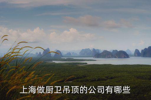 上海做廚衛吊頂的公司有哪些