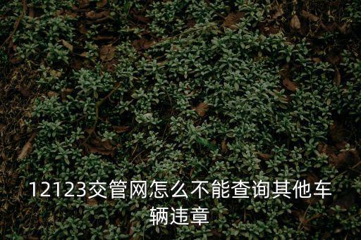 12123交管網(wǎng)怎么不能查詢其他車輛違章