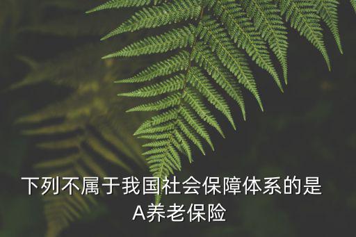 下列不屬于我國社會保障體系的是   A養老保險