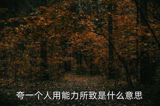 夸一個(gè)人用能力所致是什么意思