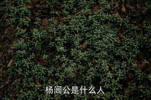 楊閭公是什么人